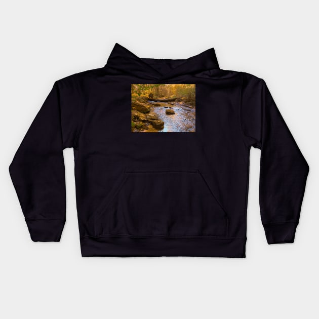 Mountain Stream Kids Hoodie by Ckauzmann